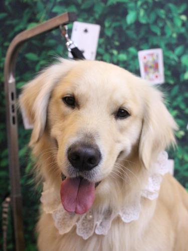 20250404レオくん